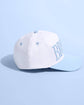 Something Blue Trucker Hat